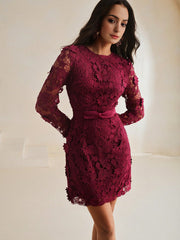 Isabella Fit Long Sleeve Elegant Lace Peplum Slim Dress