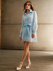 Isabella Lantern Sleeve Collared Lace Hollow Out Waisted Elegant Dress